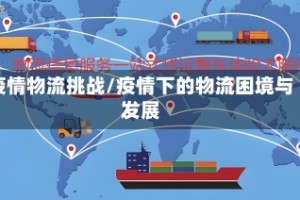 疫情物流挑战/疫情下的物流困境与发展