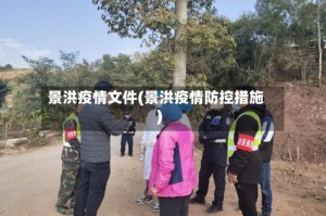 景洪疫情文件(景洪疫情防控措施)