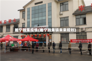 睢宁魏集疫情(睢宁魏集镇未来规划)