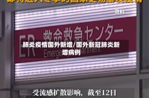 肺炎疫情国外新增/国外新冠肺炎新增病例