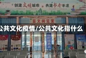 公共文化疫情/公共文化指什么