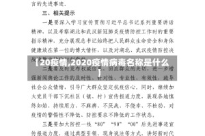 【20疫情,2020疫情病毒名称是什么】