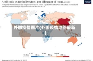 外国疫情图片(外国疫情地图最新)
