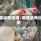 疫情动物活埋/疫情动物扑杀