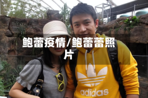 鲍蕾疫情/鲍蕾蕾照片