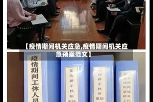 【疫情期间机关应急,疫情期间机关应急预案范文】
