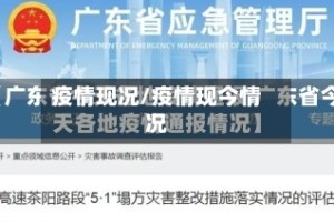 疫情现况/疫情现今情况
