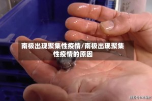 南极出现聚集性疫情/南极出现聚集性疫情的原因