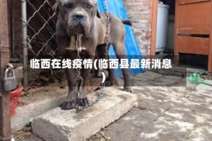 临西在线疫情(临西县最新消息)