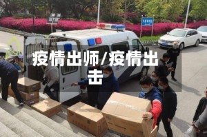疫情出师/疫情出击