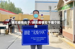 肺炎疫情处于/肺炎疫情处于哪个阶段