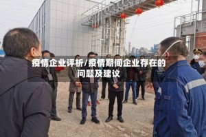 疫情企业评析/疫情期间企业存在的问题及建议