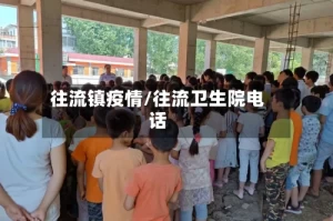 往流镇疫情/往流卫生院电话