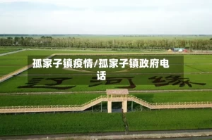 孤家子镇疫情/孤家子镇政府电话