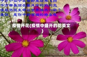 疫情开花(疫情中盛开的花美文)