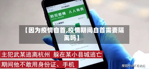 【因为疫情自首,疫情期间自首需要隔离吗】-第2张图片