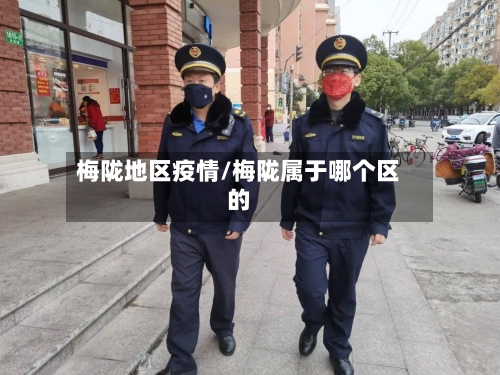 梅陇地区疫情/梅陇属于哪个区的-第1张图片