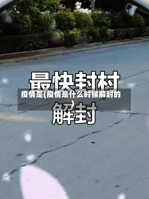 疫情是(疫情是什么时候解封的)-第2张图片