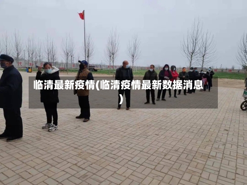 临清最新疫情(临清疫情最新数据消息)-第2张图片