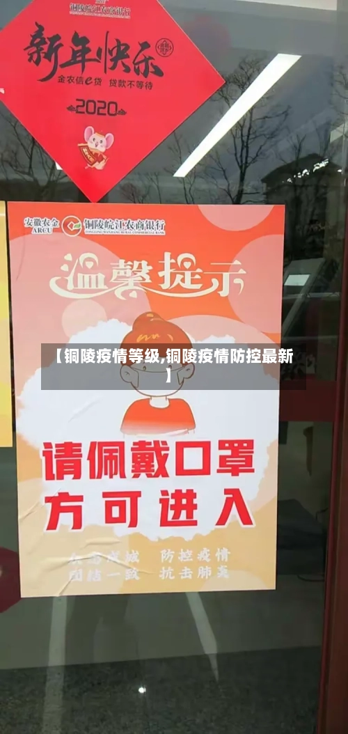【铜陵疫情等级,铜陵疫情防控最新】-第2张图片