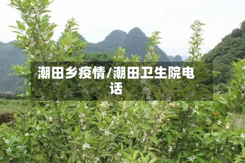 潮田乡疫情/潮田卫生院电话-第3张图片