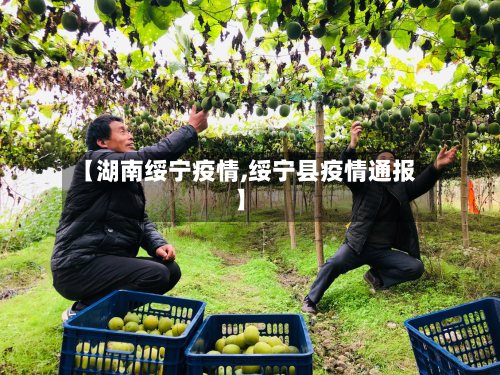 【湖南绥宁疫情,绥宁县疫情通报】-第1张图片