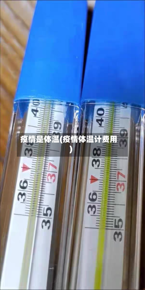 疫情是体温(疫情体温计费用)-第2张图片