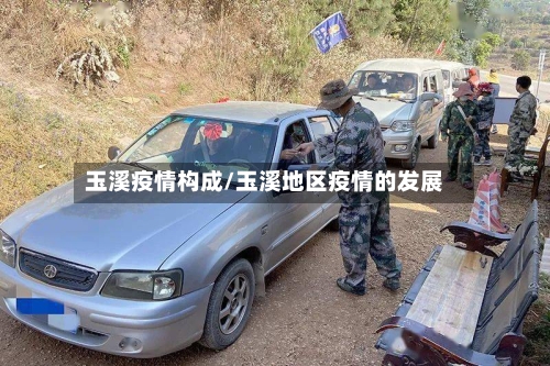 玉溪疫情构成/玉溪地区疫情的发展-第2张图片
