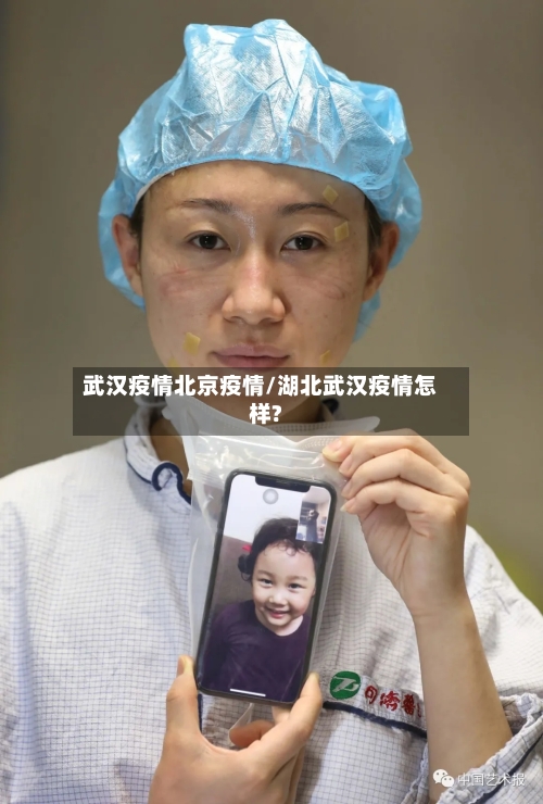 武汉疫情北京疫情/湖北武汉疫情怎样?-第2张图片