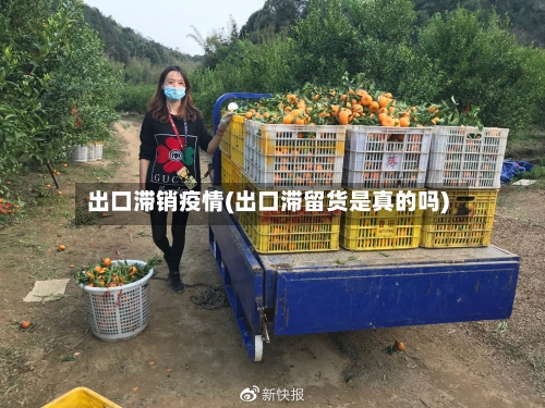 出口滞销疫情(出口滞留货是真的吗)-第1张图片