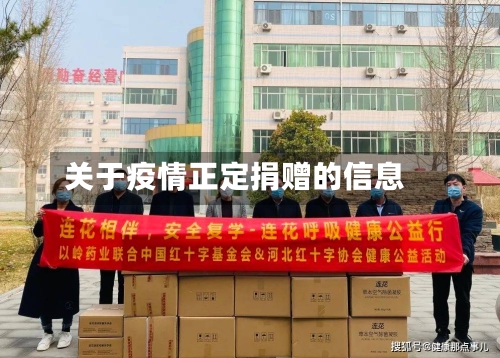 关于疫情正定捐赠的信息-第1张图片