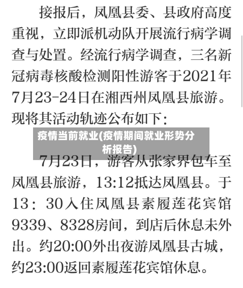 疫情当前就业(疫情期间就业形势分析报告)-第3张图片