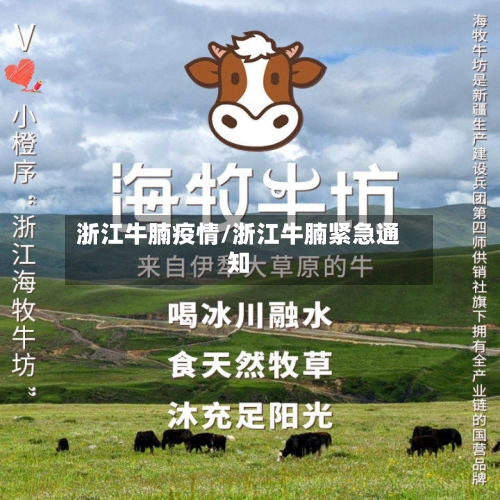 浙江牛腩疫情/浙江牛腩紧急通知-第2张图片