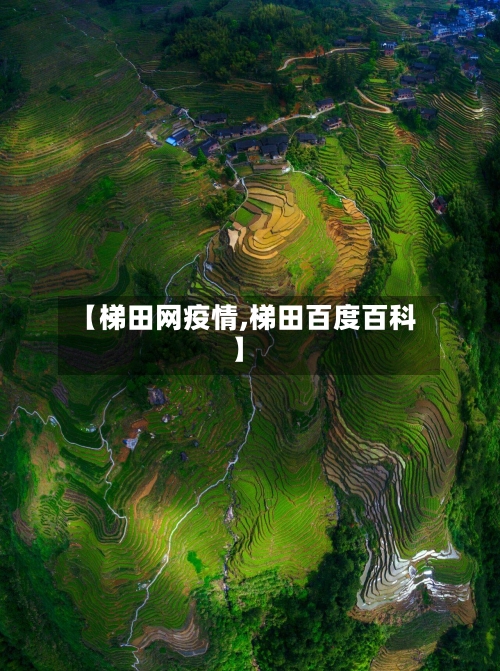 【梯田网疫情,梯田百度百科】-第1张图片