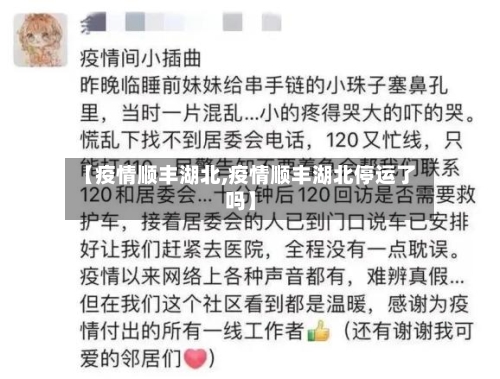 【疫情顺丰湖北,疫情顺丰湖北停运了吗】-第2张图片