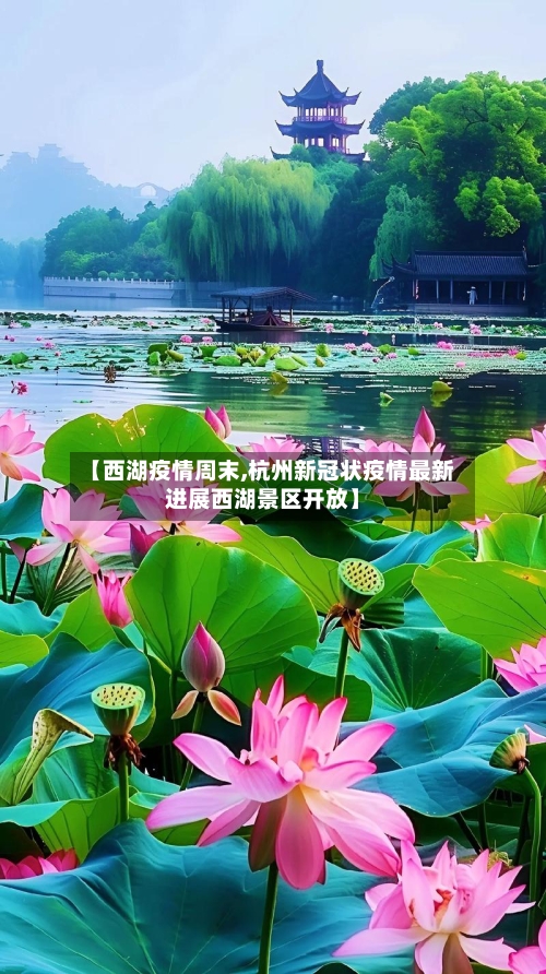 【西湖疫情周末,杭州新冠状疫情最新进展西湖景区开放】-第2张图片