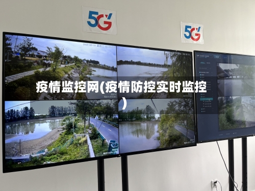 疫情监控网(疫情防控实时监控)-第2张图片