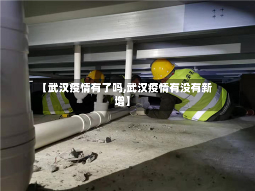 【武汉疫情有了吗,武汉疫情有没有新增】-第1张图片
