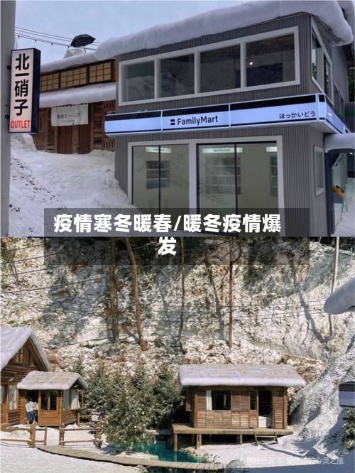 疫情寒冬暖春/暖冬疫情爆发-第2张图片