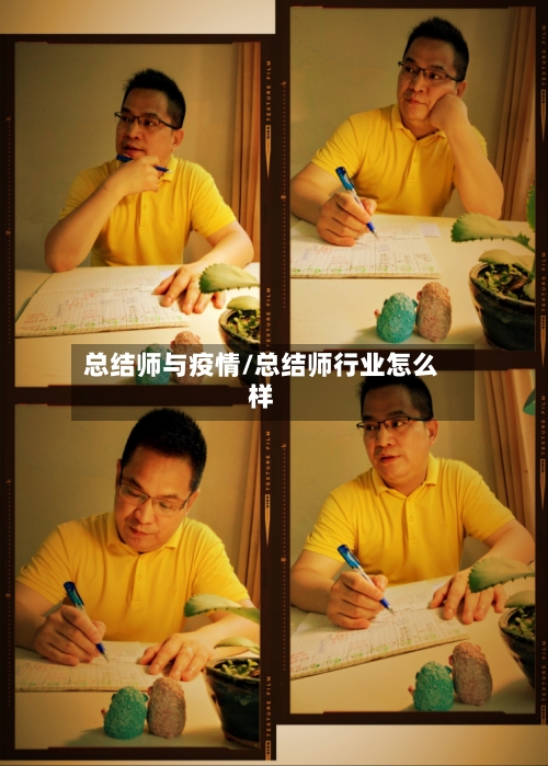 总结师与疫情/总结师行业怎么样-第1张图片