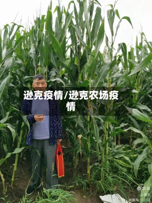 逊克疫情/逊克农场疫情-第1张图片