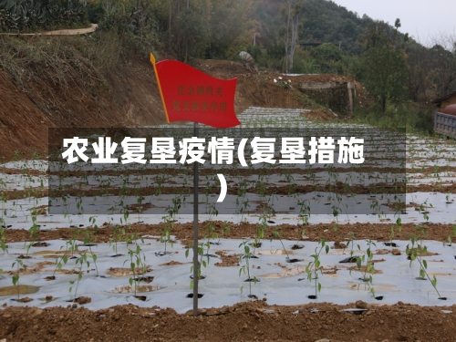 农业复垦疫情(复垦措施)-第1张图片