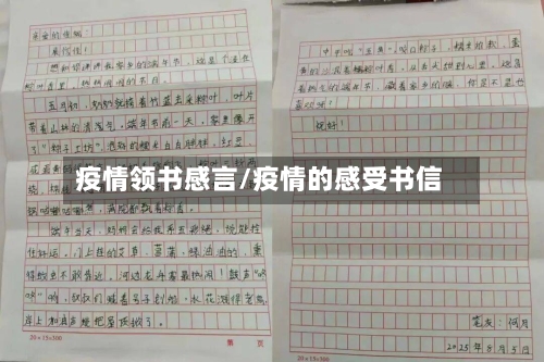 疫情领书感言/疫情的感受书信-第1张图片