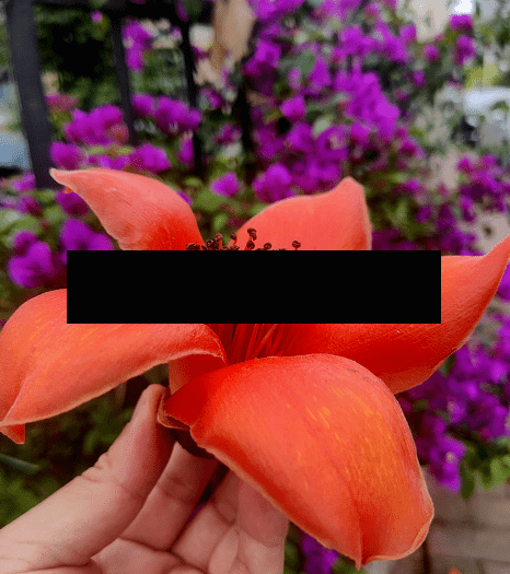 疫情英雄礼物(疫情英雄该送什么花)-第1张图片