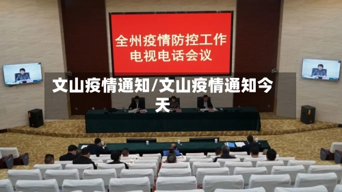 文山疫情通知/文山疫情通知今天-第2张图片