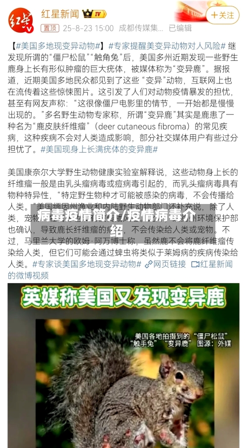 病毒疫情简介/疫情病毒介绍-第2张图片