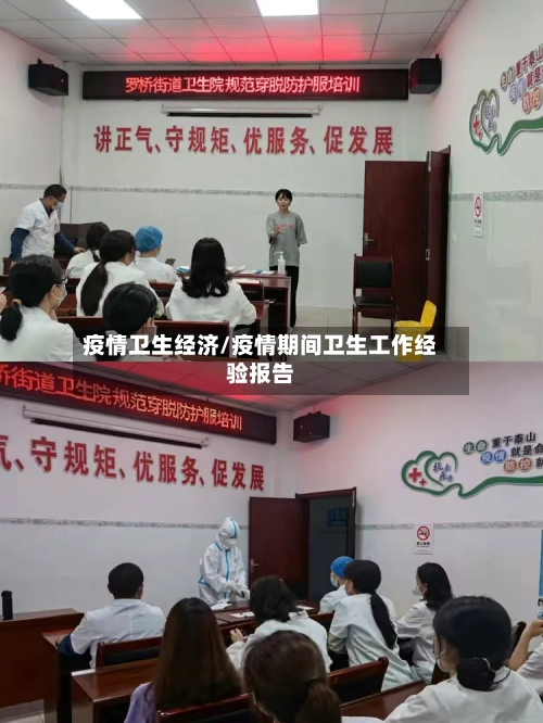 疫情卫生经济/疫情期间卫生工作经验报告-第2张图片