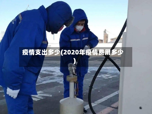 疫情支出多少(2020年疫情费用多少)-第1张图片