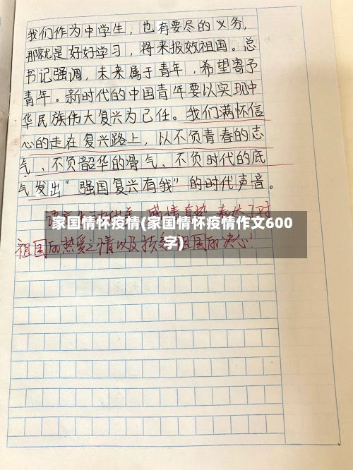 家国情怀疫情(家国情怀疫情作文600字)-第1张图片