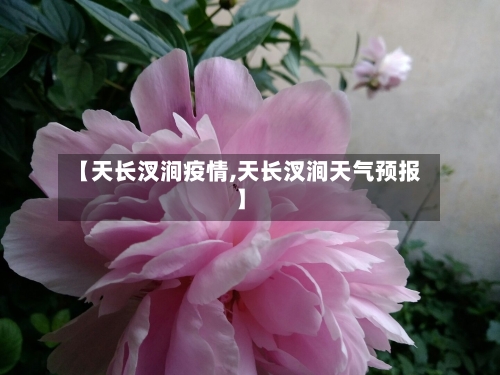 【天长汊涧疫情,天长汊涧天气预报】-第2张图片